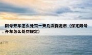 限号开车怎么处罚一天几次保定市（保定限号开车怎么处罚规定）