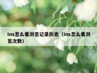 ins怎么看浏览记录历史（ins怎么看浏览次数）