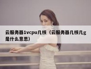 云服务器1vcpu几核（云服务器几核几g是什么意思）