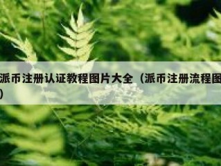派币注册认证教程图片大全（派币注册流程图）