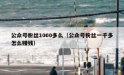 公众号粉丝1000多么（公众号粉丝一千多怎么赚钱）