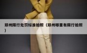 郑州限行处罚标准拍照（郑州哪里有限行拍照）