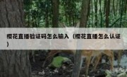 樱花直播验证码怎么输入（樱花直播怎么认证）