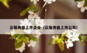 云服务器上市企业（云服务器上市公司）
