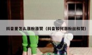 抖音里怎么涨粉涨赞（抖音如何涨粉丝和赞）