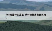 ins粉是什么意思（ins粉丝多有什么用）