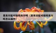 易支付能对接码支付吗（易支付能对接码支付吗怎么操作）