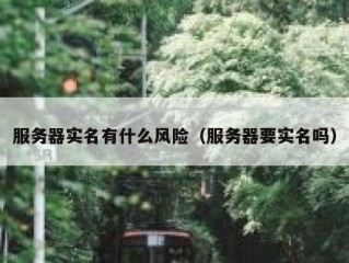 服务器实名有什么风险（服务器要实名吗）