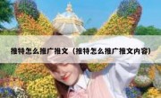 推特怎么推广推文（推特怎么推广推文内容）