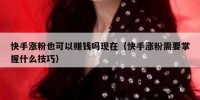 快手涨粉也可以赚钱吗现在（快手涨粉需要掌握什么技巧）