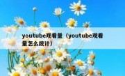youtube观看量（youtube观看量怎么统计）