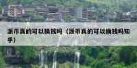 派币真的可以换钱吗（派币真的可以换钱吗知乎）