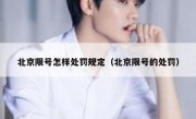 北京限号怎样处罚规定（北京限号的处罚）