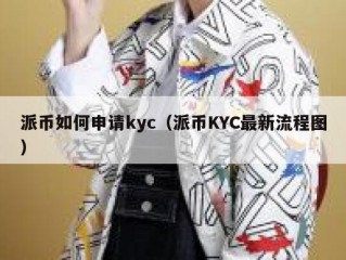 派币如何申请kyc（派币KYC最新流程图）