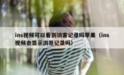 ins视频可以看到访客记录吗苹果（ins视频会显示浏览记录吗）