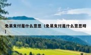 免易支付是什么意思（免易支付是什么意思呀）