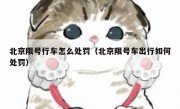 北京限号行车怎么处罚（北京限号车出行如何处罚）