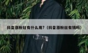 抖音涨粉丝有什么用?（抖音涨粉丝有钱吗）