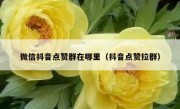 微信抖音点赞群在哪里（抖音点赞拉群）