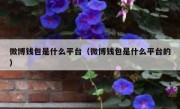 微博钱包是什么平台（微博钱包是什么平台的）