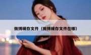 微博缓存文件（微博缓存文件在哪）