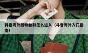 抖音海外版粉丝群怎么进入（斗音海外入门指南）
