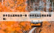 快手怎么能粉丝多一些（快手怎么让粉丝多起来）