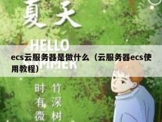 ecs云服务器是做什么（云服务器ecs使用教程）