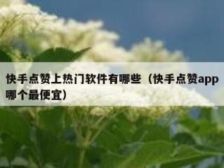 快手点赞上热门软件有哪些（快手点赞app哪个最便宜）