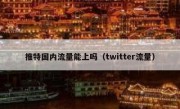 推特国内流量能上吗（twitter流量）
