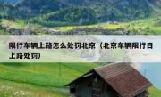 限行车辆上路怎么处罚北京（北京车辆限行日上路处罚）