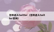 怎样进入twitter（怎样进入twitter官网）