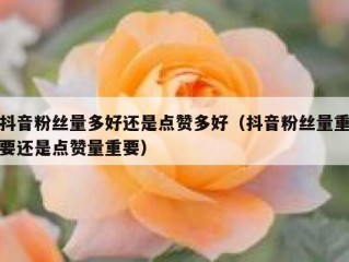 抖音粉丝量多好还是点赞多好（抖音粉丝量重要还是点赞量重要）