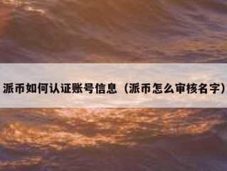 派币如何认证账号信息（派币怎么审核名字）