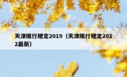天津限行规定2019（天津限行规定2022最新）