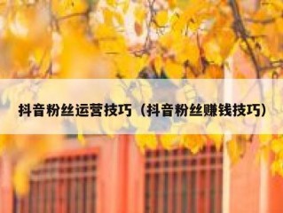 抖音粉丝运营技巧（抖音粉丝赚钱技巧）