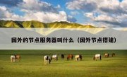 国外的节点服务器叫什么（国外节点搭建）