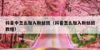 抖音中怎么加入粉丝团（抖音怎么加入粉丝团教程）