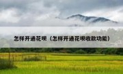 怎样开通花呗（怎样开通花呗收款功能）