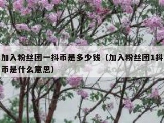 加入粉丝团一抖币是多少钱（加入粉丝团1抖币是什么意思）