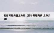 云计算服务器龙头股（云计算服务商 上市公司）