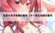北京十月汽车限行尾号（十一月北京限行尾号）