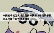 中国的手机怎么才能在国外使用（中国的手机怎么才能在国外使用流量）
