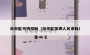 派币能当钱用吗（派币能换成人民币吗）