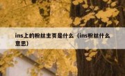 ins上的粉丝主页是什么（ins粉丝什么意思）