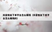 抖音粉丝下单平台怎么赚钱（抖音粉丝下单平台怎么赚钱的）