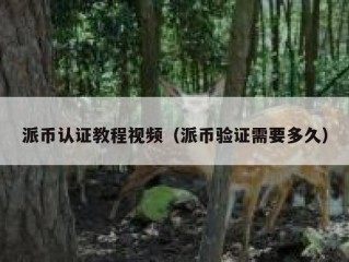 派币认证教程视频（派币验证需要多久）