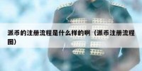 派币的注册流程是什么样的啊（派币注册流程图）
