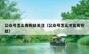 公众号怎么有粉丝关注（公众号怎么才能有粉丝）