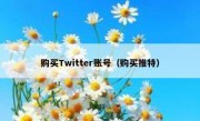 购买Twitter账号（购买推特）